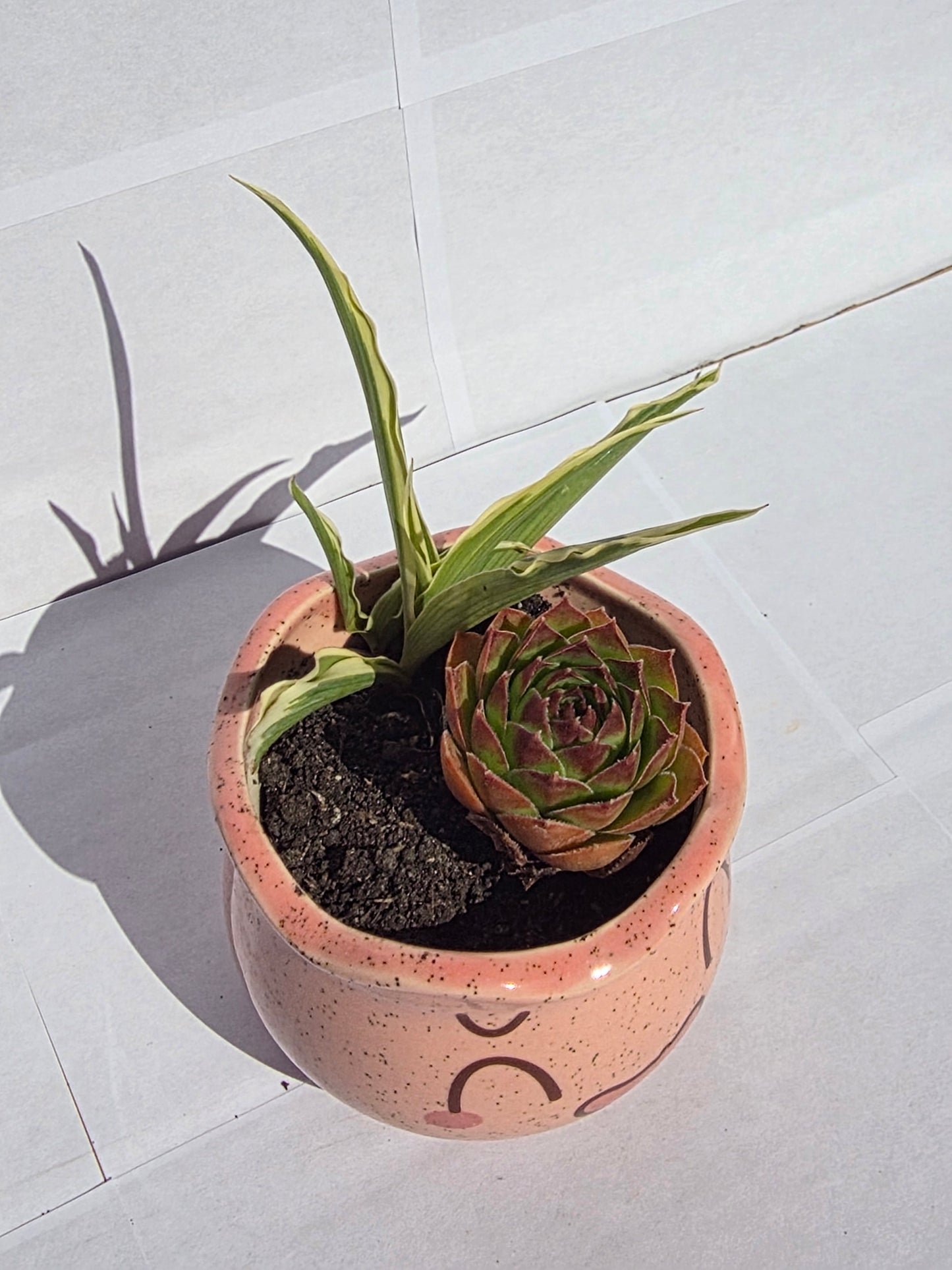 Mosolygós Kerámia Duó – Rózsaszín Kézműves Kaspóban