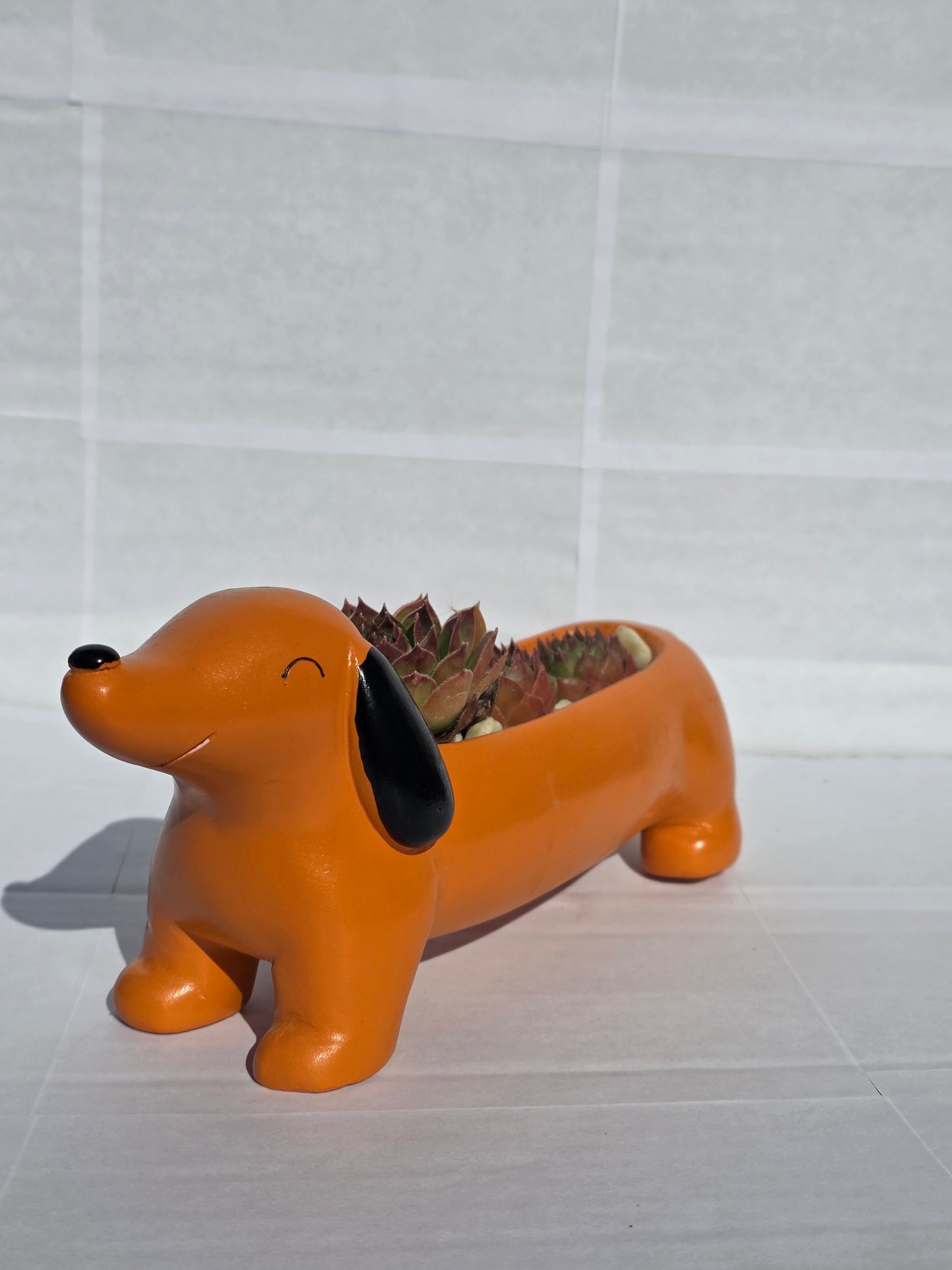 Vidám Tacskó Kaspó - Pozsgás Hot Dog