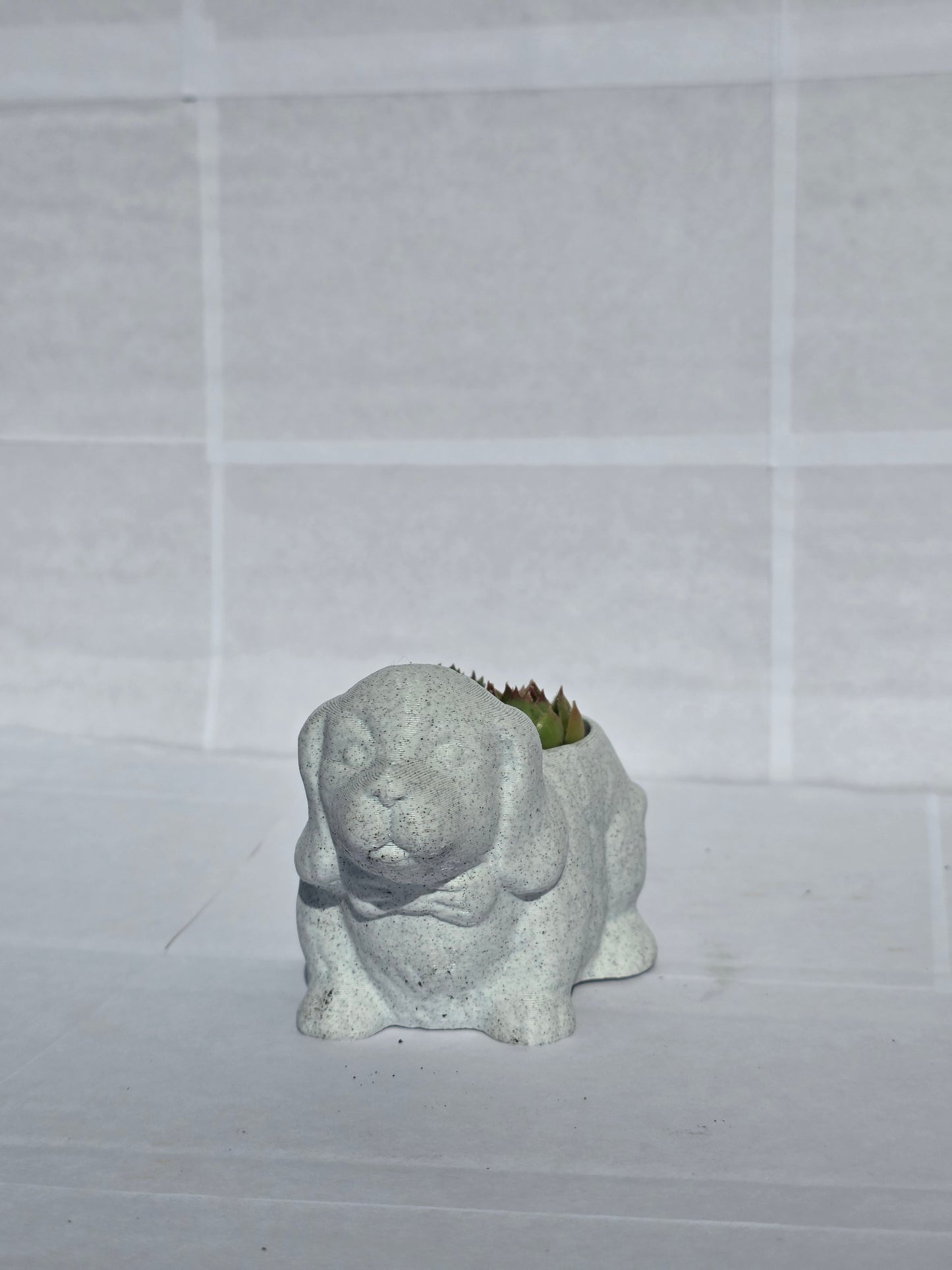 Hűséges Kiskutya Virágtartó Kövirózsával