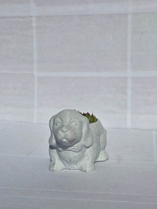 Hűséges Kiskutya Virágtartó Kövirózsával