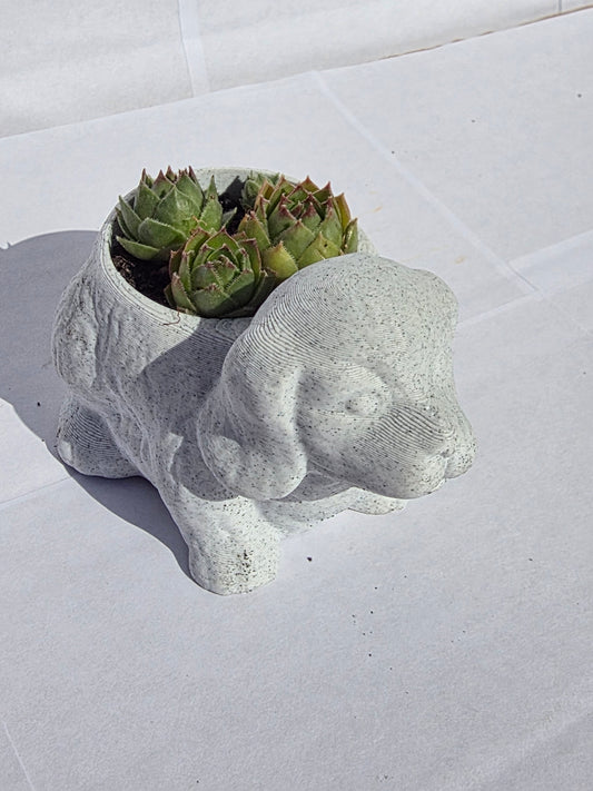 Hűséges Kiskutya Virágtartó Kövirózsával