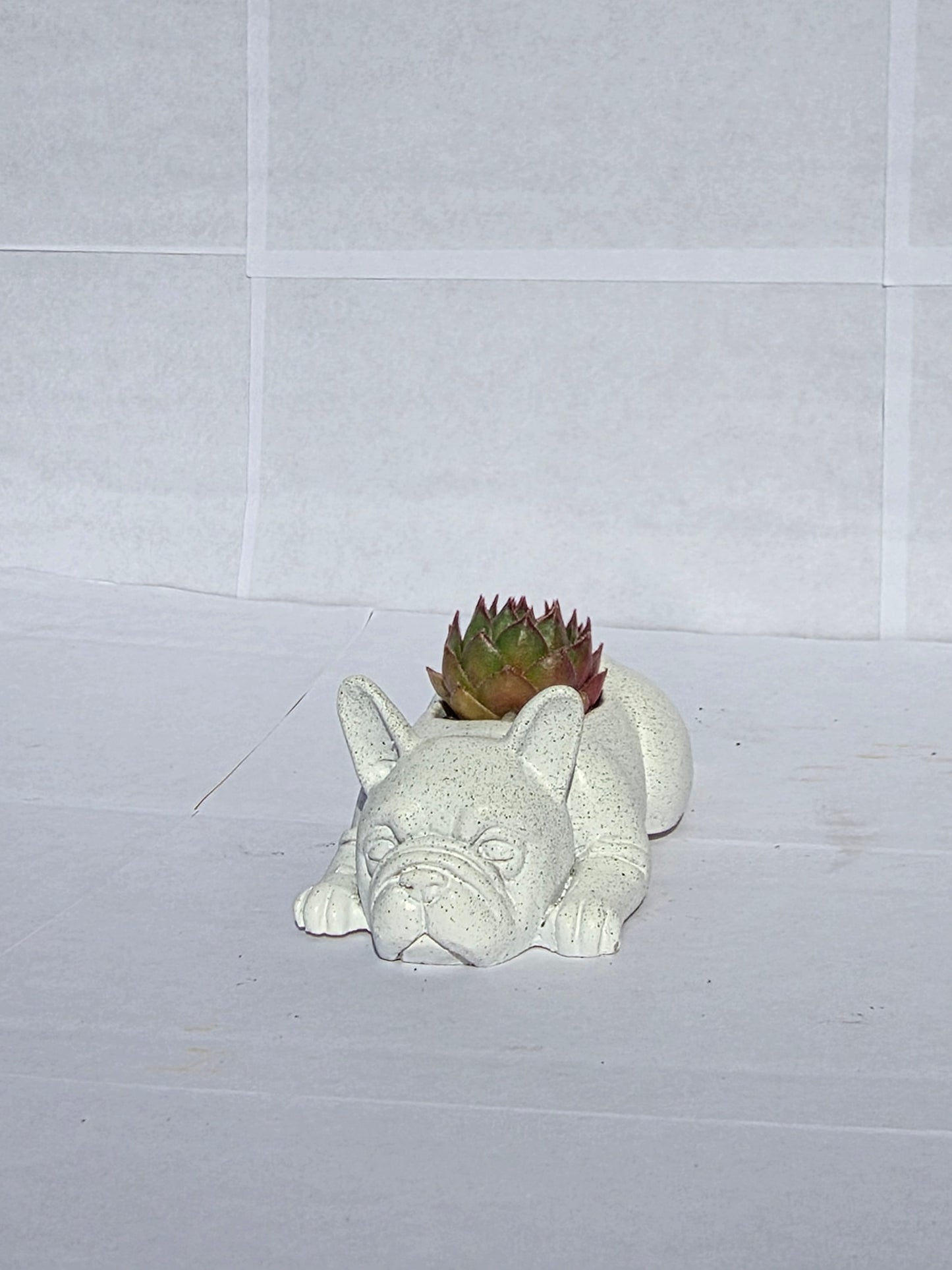 Pihenő Bulldog Virágtartó – A Kedvenc Laza Kisállat!