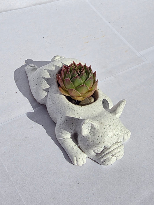 Pihenő Bulldog Virágtartó – A Kedvenc Laza Kisállat!