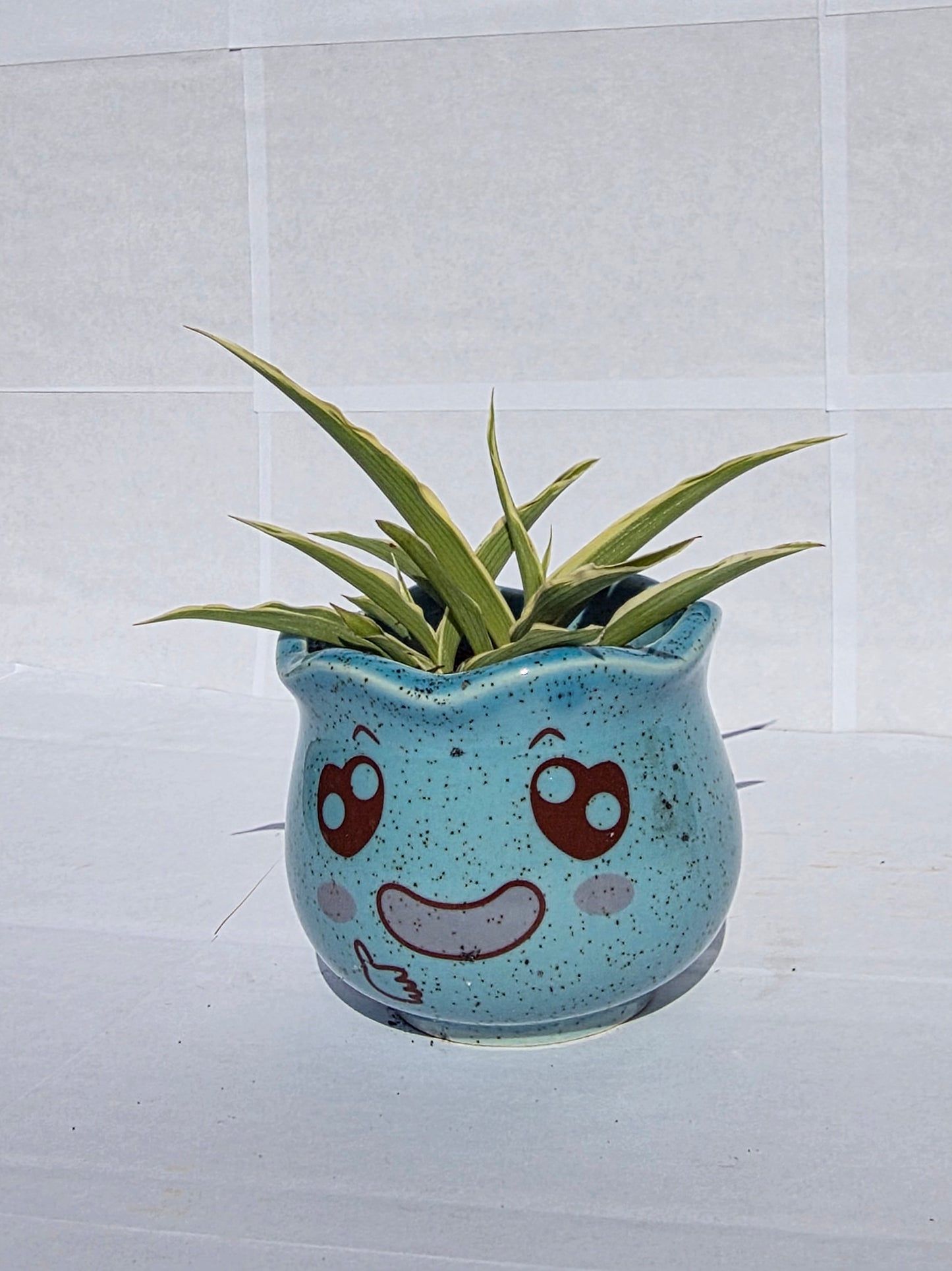 Kék, Álmodozó Emoji Virágtartó Csíkos Szanszeviériával