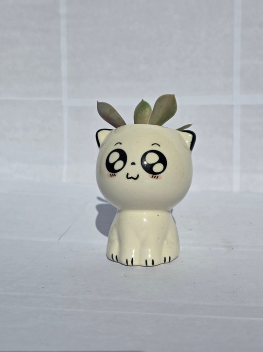 Hatalmas Szemű, Ülő Cica Virágtartó Pozsgással