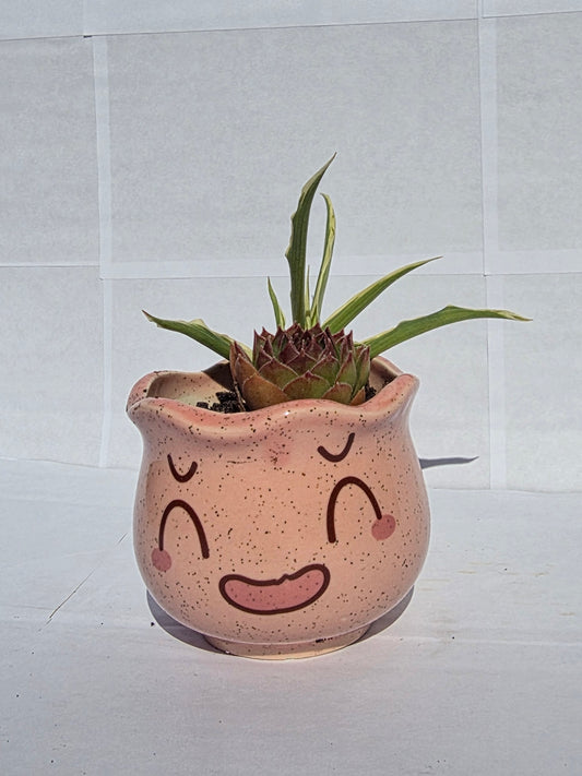 Mosolygós Kerámia Duó – Rózsaszín Kézműves Kaspóban