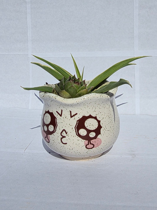 Pimasz Báj – Kézműves Kaspó Pozsgás Duóval