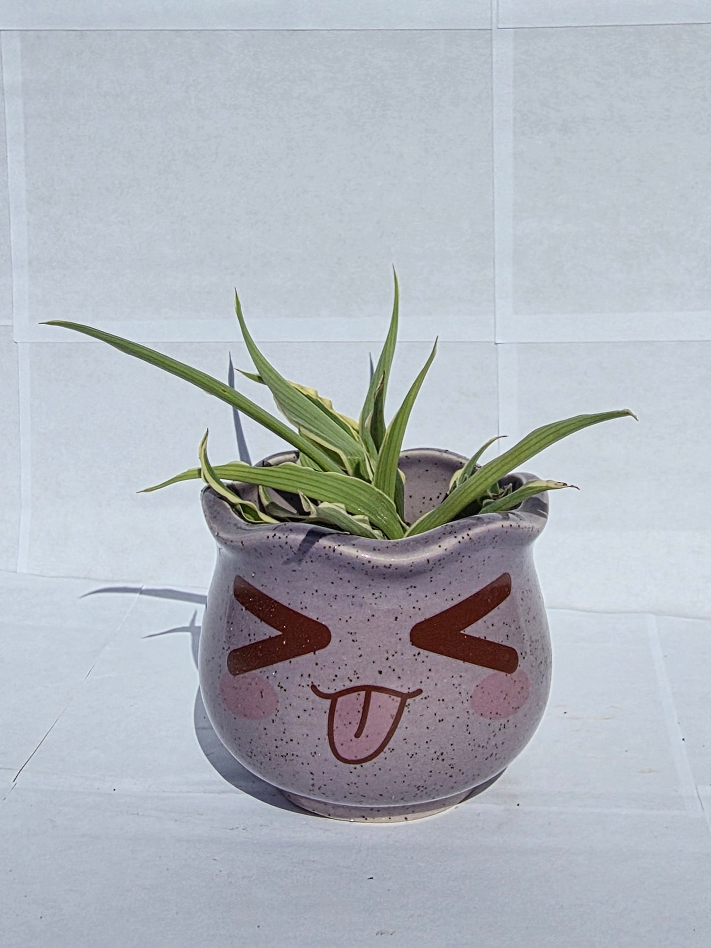 Nyelvet Öltő Kerámia Kaspó Csíkos Pozsgással