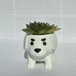 Aranyos Kutya