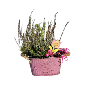 6ab8de393faa2f43d8eb527c Pink Őszi Suttogás - Kompozíció