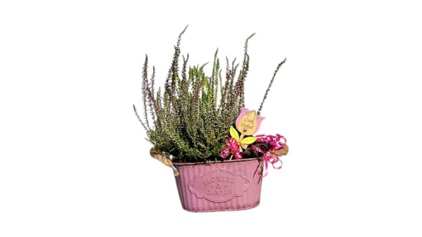 6ab8de393faa2f43d8eb527c Pink Őszi Suttogás - Kompozíció
